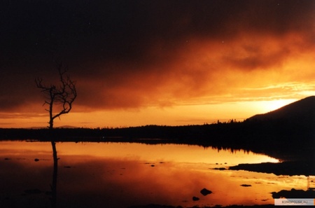 Кадр з фільму "Кукушка"